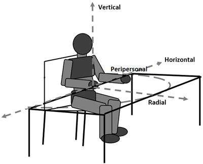 Visual vertical neglect in acquired brain injury: a systematic review